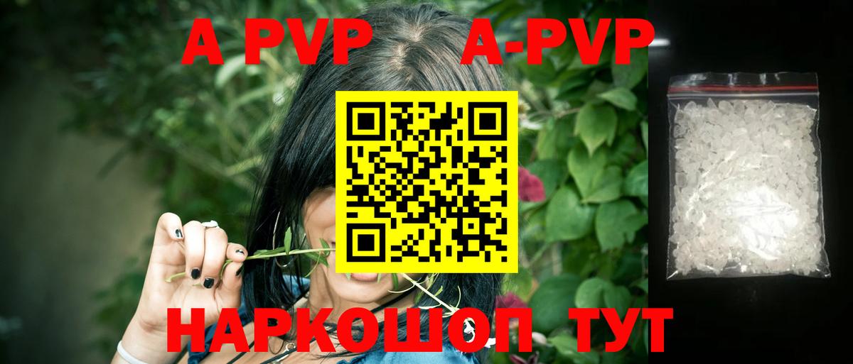 APVP СК Городец