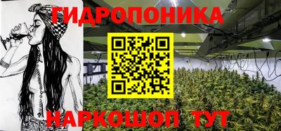 спиды Гатчина
