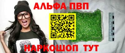 спиды Гатчина